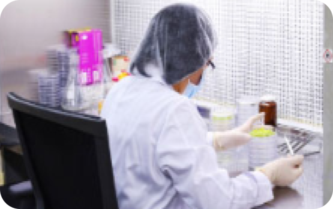 Cell Research